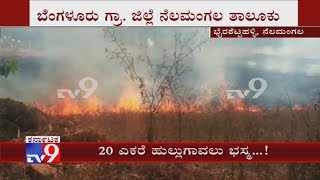 20 Acres Of Farm Land Was Allegedly Set On Fire By Miscreants In Nelamangala