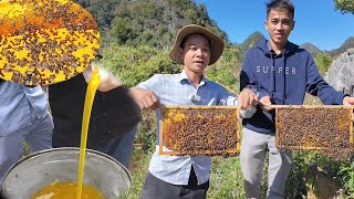 Bí Thư Già bất ngờ với trại mật ong hoa bạc hà khủng thu hàng trăm triệu khiến ai cũng bất ngờ