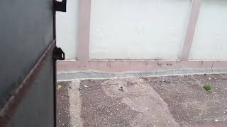 Heavy hail storm, big ice pellets falling from sky