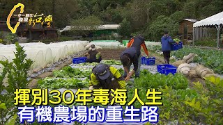 【內湖】毒害30年.億萬富豪散盡家財悔悟重生.靠有機菜度化吸毒更生人∣一步一腳印【重生有機人生與農場】20211219