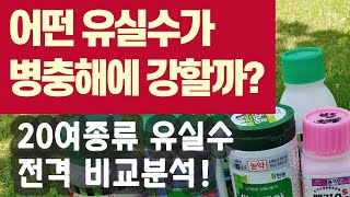 병충해에 강한 유실수, 약한 유실수 - 20여종류 비교분석!