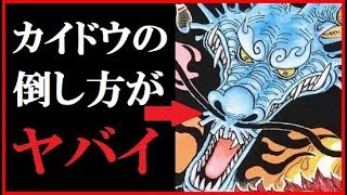 ワンピース カイドウの倒し方に一同衝撃…ルフィらと百獣海賊団全面対決で不死身の四皇撃破の突破口は？