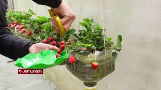 নাগরিক জীবনে শান্তি দিতে ঘরে থাকুক গাছপালা | Indoor Planting | Jamuna TV