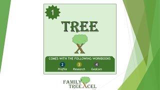 Family TreeXcel - TREE Workbook