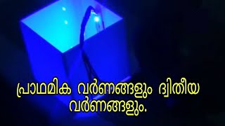 നിറങ്ങൾക്കു പിന്നിൽ I The Secret Behind Colours I Science experiment I ILLIAS PERIMBALAM