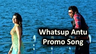 Whatsup Antu Promo Video Song || Alludu Seenu Movie || Sai Srinivas,Samantha
