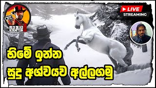 RDR 2 Sinhala Gameplay - හිමේ ඉන්න සුදු අශ්වයා අල්ලගමු