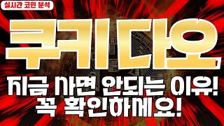 쿠키 다오 : 지금 사면 안되는 이유! 꼭 확인하세요!