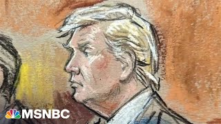 Why didn’t Trump have to take a mugshot? Legal expert Nick Ackerman weighs in