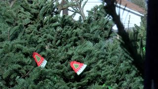 Boy Scouts Troop 80 Treeland celebrates opening day, tradition since 1955