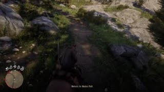 Red Dead Redemption 2 Getting the Chanupa from the Camp Quietly