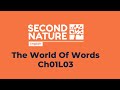 The World of Words - Inflection - Ch01L03