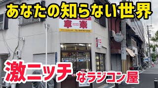 【模型店】ハチイチバギーだけの専門店　1/8th scale buggy specialty shop