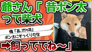 【2ch動物スレ】爺さん「可愛い柴犬だね～ 昔ポン太って柴犬飼っててね～」