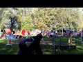 20171015 rieulay fabrice luna agility standard