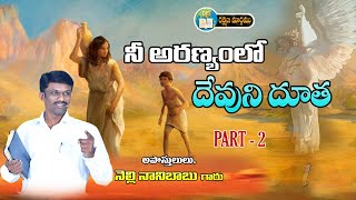 నీ అరణ్యంలో దేవుని దూత // Apostle Nelli Nani Babu Garu // 27   01   2023  Part - 2