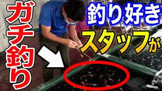 【3分勝負】釣りが大好きなペットショップ店員がガチで金魚釣りやってみた！！【釣り堀】