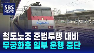 철도노조 준법투쟁 대비 무궁화호 일부 운행 중단 / SBS