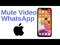 How to Mute a Video on WhatsApp Before Sending on iPhone