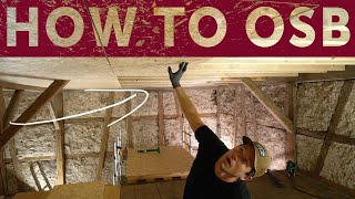 OSB CEILING for my Woodworking Shop | SHOP BUILD episode3