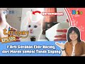 Kucing Lucu - 7 Arti Gerakan Ekor Kucing, dari Marah sampai Tanda Sayang - Bobo Cat Diary Eps 120