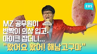 “부드럽고 달콤해”..‘국민 영양 간식' 본격 수확 / EBS고향사랑뉴스