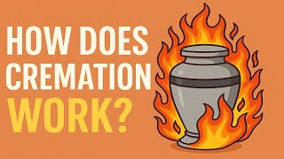 How Does Cremation Really Work? (Step-by-Step Explained)
