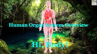 Human Organ System Overview, Hi Body 101 E01, What Anatomy Structure How to Make Biology Function.