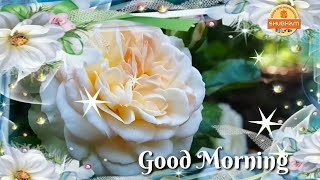 Good Morning Video Songs Whatsapp Status 2018