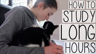 HOW TO STUDY FOR LONG HOURS! STAYING FOCUSED WITH NO PROCRASTINATION | STUDY WITH ME