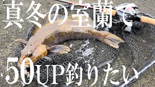 真冬の室蘭で５０UPを釣りたい【アブラコ】