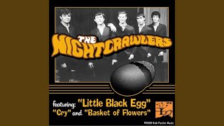 The Little Black Egg