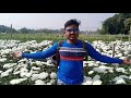 khirai ক্ষীরাই ।। khirai flower garden।। valley of flowers ।। one day tour vlog।। mb kahini ।।