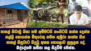 තම අම්මටයි නංගිටයි කන්න දෙන්න සල්ලි හොයන්න මිතුරෙකු සමග කුඹුරු හාන්න ගිය පාසල් සිසුවාට සිදුවූ දේ.