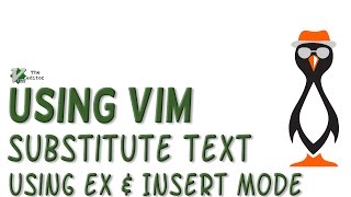 Using the VIM to Substitute Text
