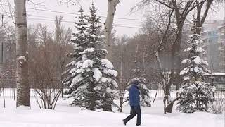 Снегопад в Самарской области прогнозируют в течение всего дня