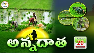 అన్నదాత | 20th November 2024 | Annadata | Full Bulletin | ETV Telangana