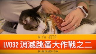 miya hotel LV032 消滅跳蚤大作戰之二 cat fleat