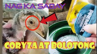 SABAY TINAMAAN NG CORYZA AT BOLOTONG MGA SISIW NATIN, TARA GAMUTIN NATIN