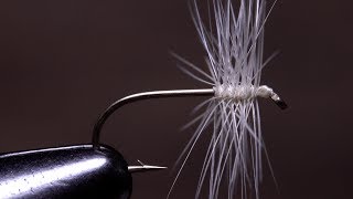 Making a Neat Head on a Fly