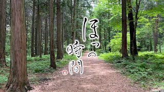 【癒し・ASMR】ほっの時間 長野県 上伊那郡 伊那谷 自然あふれる公園 信州大芝高原の新緑の映像と音をお送りします。疲れた心身の回復・リラックス効果・勉強中や作業用、目覚めの朝や眠れない夜にも