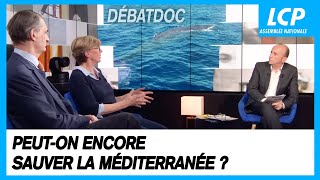 Peut-on encore sauver la Méditerranée ? | Les débats de Débatdoc