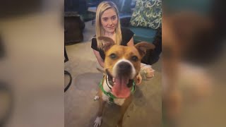 WHAS11 viewer adopts Shelter Star Hooch