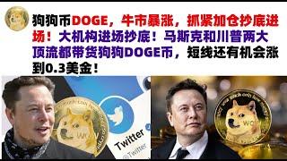 狗狗币DOGE，牛市暴涨，抓紧加仓抄底进场！大机构进场抄底！马斯克和川普两大顶流都带货狗狗DOGE币，短线还有机会涨到0.3美金！马斯克狗狗币|DOGE行情分析!