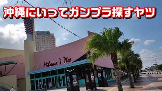 沖縄の模型店事情を探る