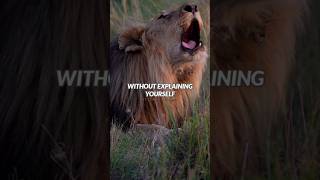 LION... 🦁🔥WhatsApp Attitude Status #shorts #motivation #lion #attitudestatus #inspirationalquotes