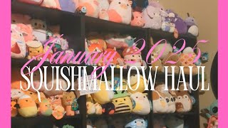 Squishmallow Haul, January 2025, Halloween,Easter, ones I have never seen before!