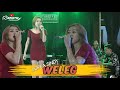 WELEG - LOPEA SINDY ( Denata Music ) Live