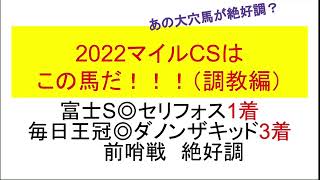 2022マイルCSはこの馬だ調教編