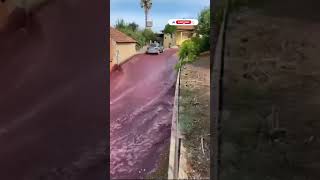 மழை வெள்ளம் அல்ல Red Wine வெள்ளமாக மாறியது River of red wine flows through Portuguese town